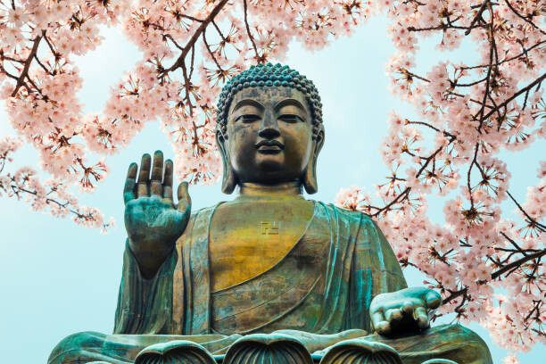 Art Photography Buddha statue with cherry blossom in