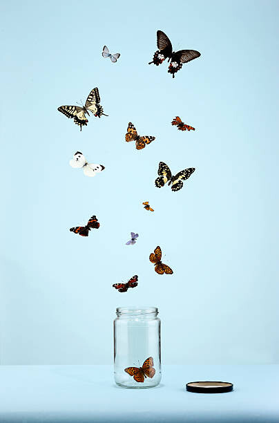 Art Photography butterflies escaping from jar