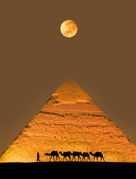 Art Photography Camel train and pyramid
