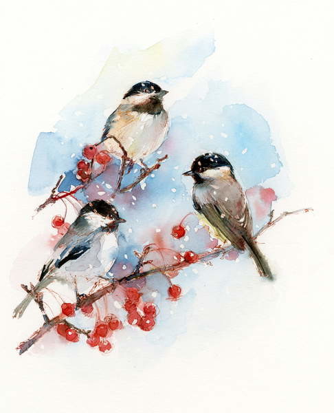 Canvas Print Chickadees with Berries, 2017,