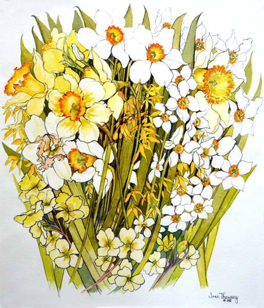 Canvas Print Daffodils, Narcissus, Forsythia and Primroses