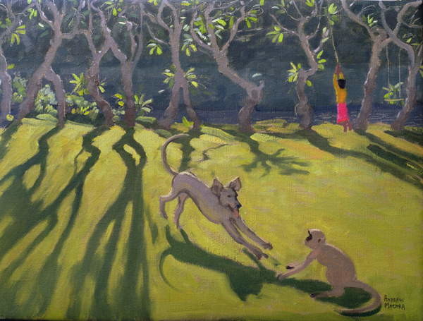 Canvas Print Dog and Monkey, Sri Lanka,1998