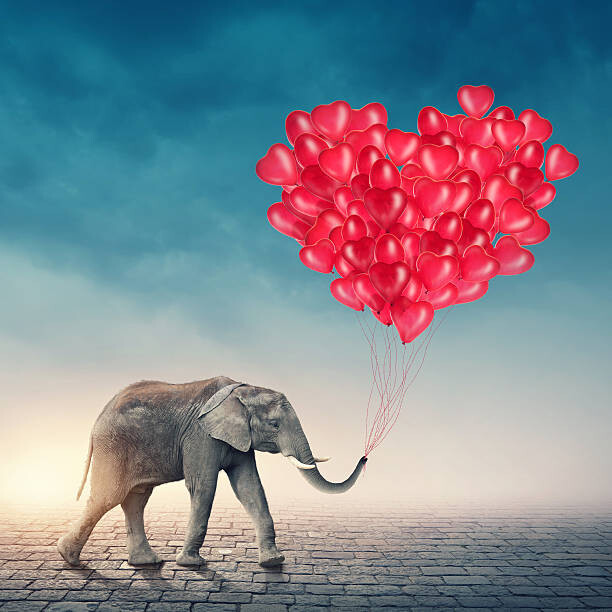 Art Photography Elephant with red balloons