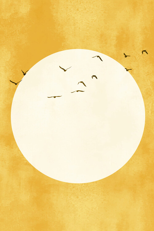 Illustration Eternal Sunshine