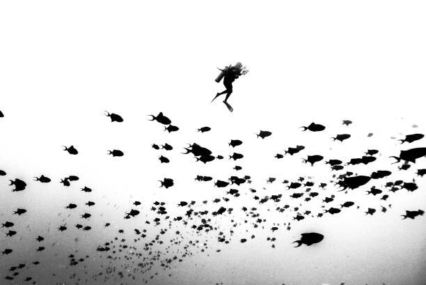 Art Photography extreme underwater