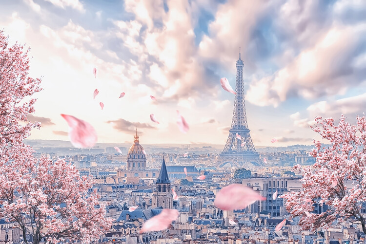 Canvas Print French Sakura