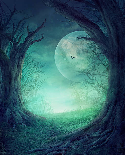 Wall Art Print Halloween Spooky Forest 