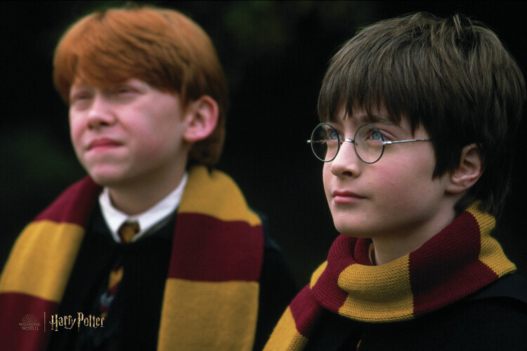 Art Poster Harry Potter and Ron Weasley