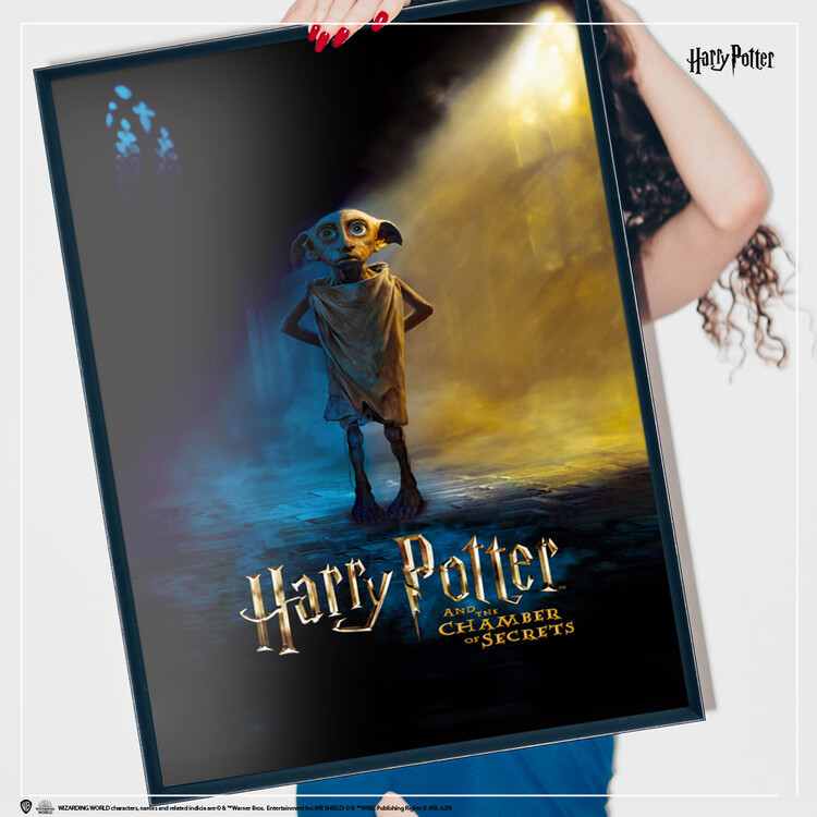Dobby Harry Potter Art Print Dobby Portrait Harry Potter Decor