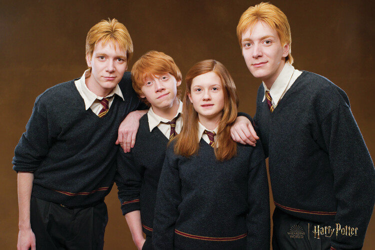 Wall Art Print Harry Potter - Weasley family, Gifts & Merchandise