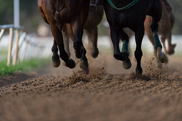 Art Photography Horse Racing detail, hooves on all weather track