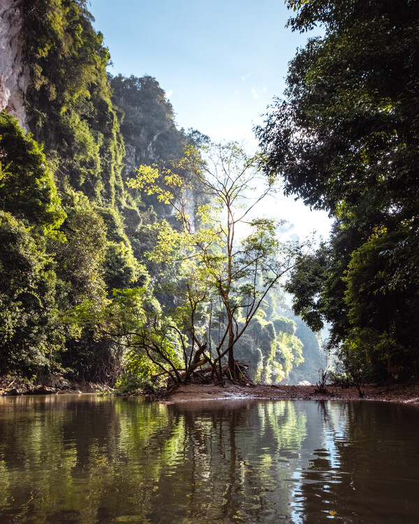 Art Photography Into the Wild
