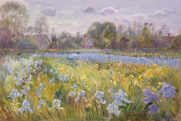Canvas Print Iris Field in the Evening Light, 1993
