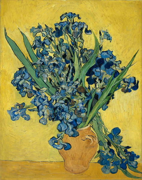 Fine Art Print Irises, 1890