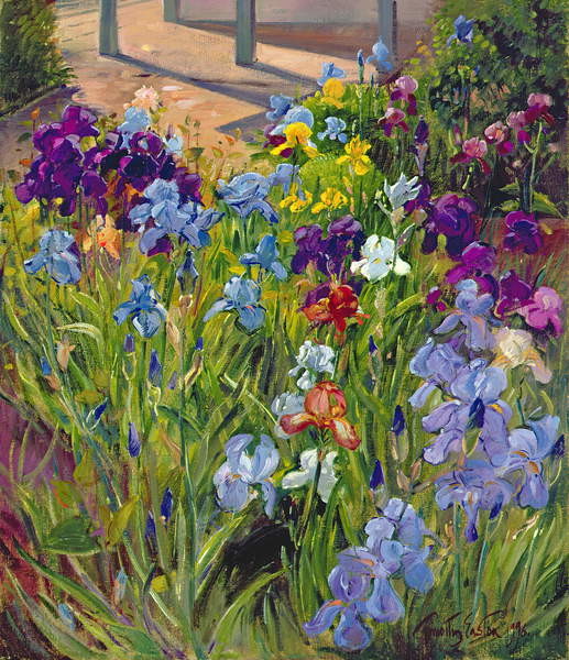 Canvas Print Irises and Summer House Shadows, 1996