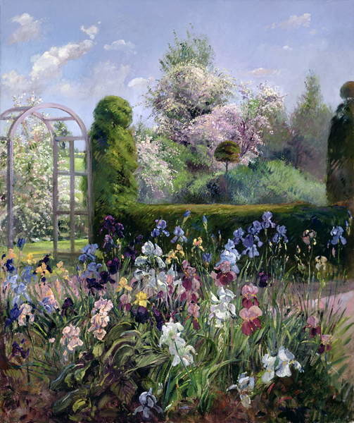 Fine Art Print Irises in the Formal Gardens, 1993