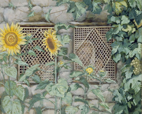 Canvas Print Jesus Looking through a Lattice with Sunflowers
