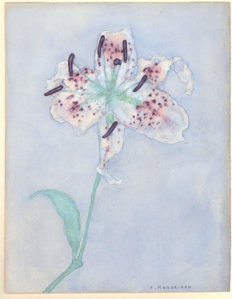 Canvas Print Lily, after 1921