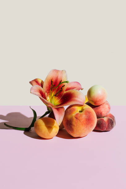 Art Photography Lily flower and peaches on beige