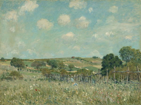 Canvas Print Meadow, 1875