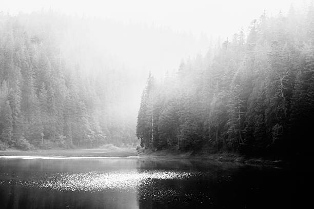 Art Photography Mountain lake