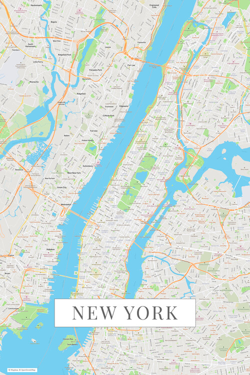 Map New York color