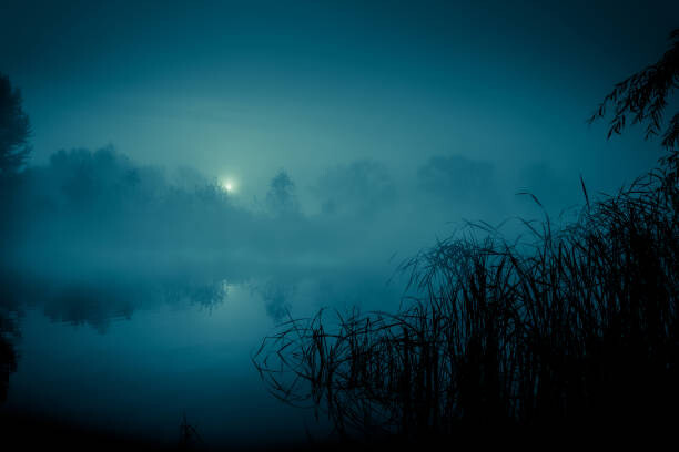 Art Photography Night mystical scenery. Full moon over
