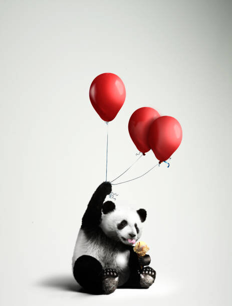 Valokuvataide Panda holding balloons, licking ice cream