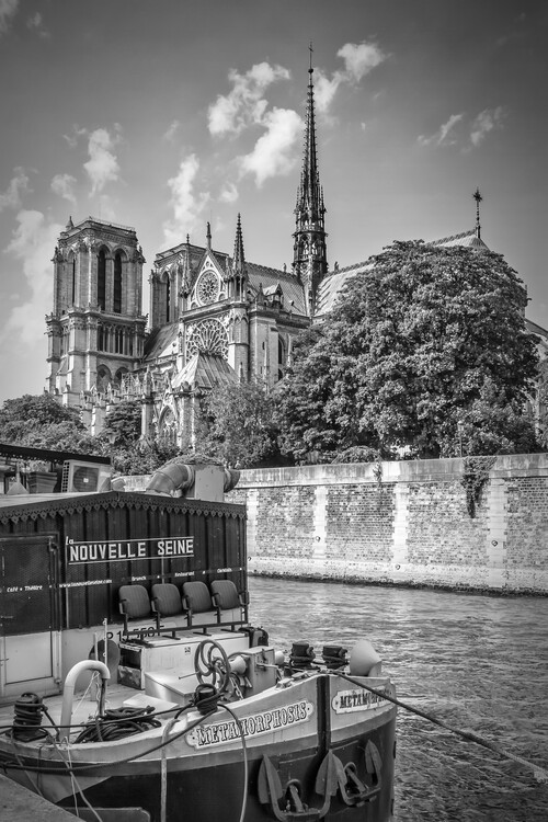Wall Art Print Paris Cathedral Notre Dame Monochrome Europosters - Notre Dame Cathedral Wall Art
