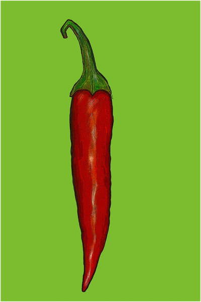 Canvas Print Red hot chilli pepper