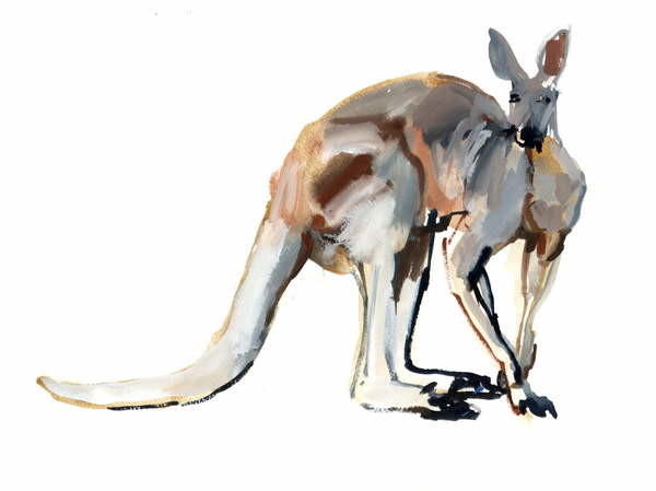 Canvas Print Roo, (Red Kangaroo), 2012,