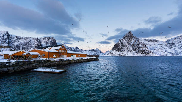 Art Photography Sakrisoy fish factory of Lofoten Norway