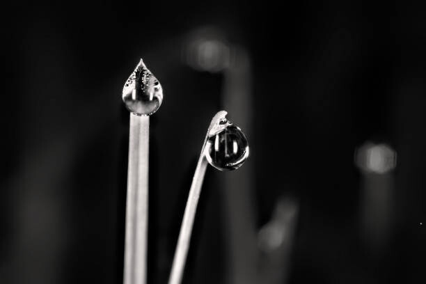 Art Photography Shiny Water Drops in Monochrome