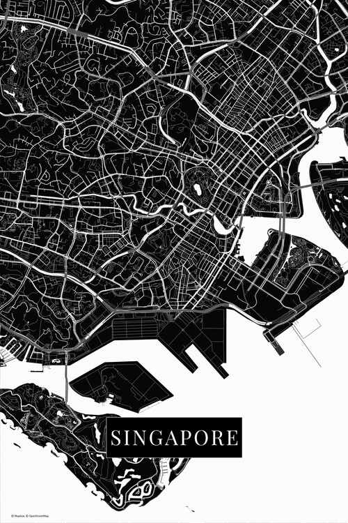 Map Singapore black