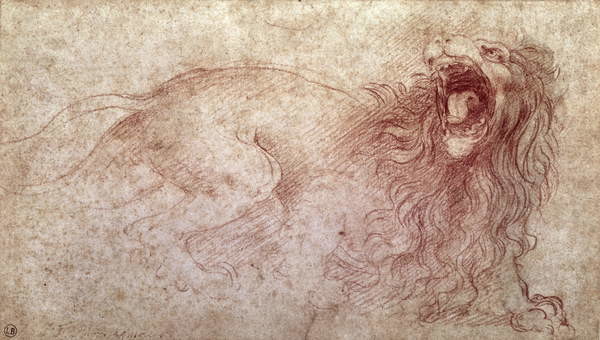 Fine Art Print Sketch of a roaring lion