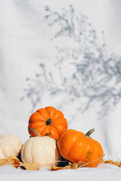 Art Photography Small pumpkins
