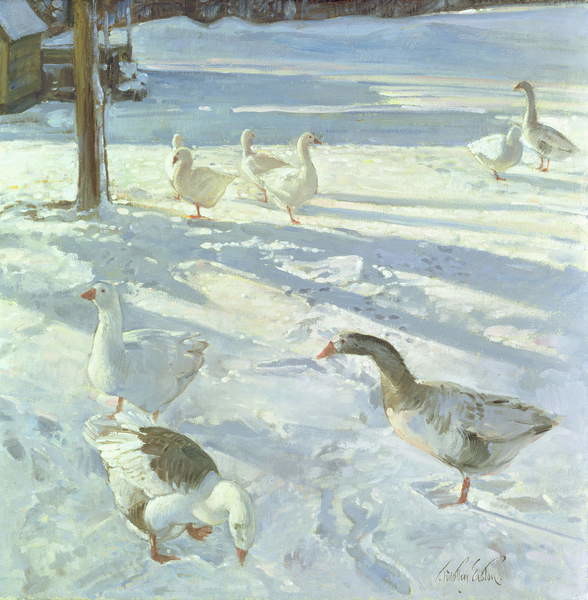 Canvas Print Snowfeeders, 1999
