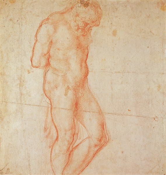 Fine Art Print Study of a Nude