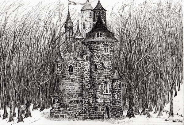 Fine Art Print The Castle in the forest of Findhorn, 2006,