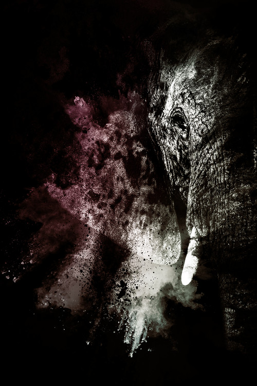 Art Photography The Elephant