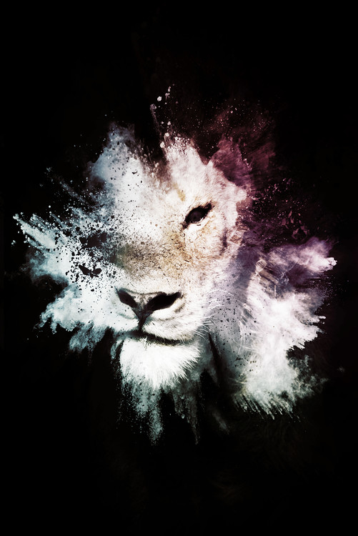 Art Photography The Lion