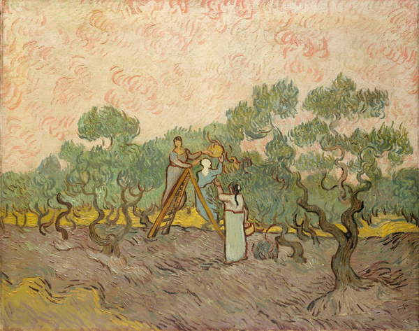 Canvas Print The Olive Pickers, Saint-Remy, 1889