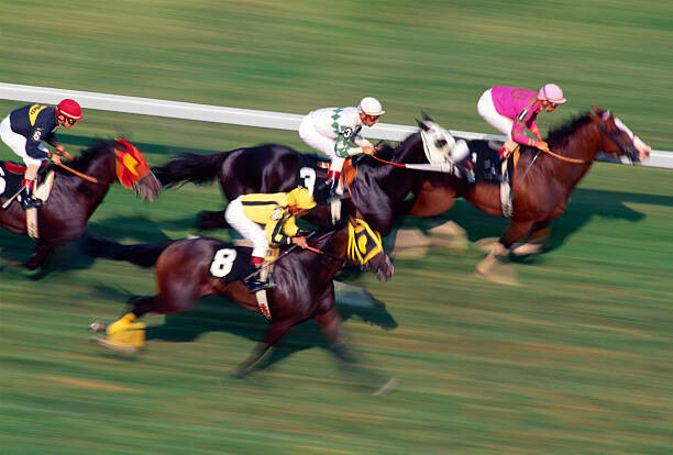 Art Photography Thoroughbred horse race on turf