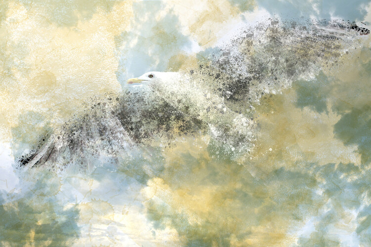 Vanishing Seagull Posters Art Prints Wall Murals 250 000 Motifs - Seagull Wall Art Paintings Vanishing Seagull Posters Art Prints Wall Murals 250 000 Motifs - Seagull Wall Art Paintings
