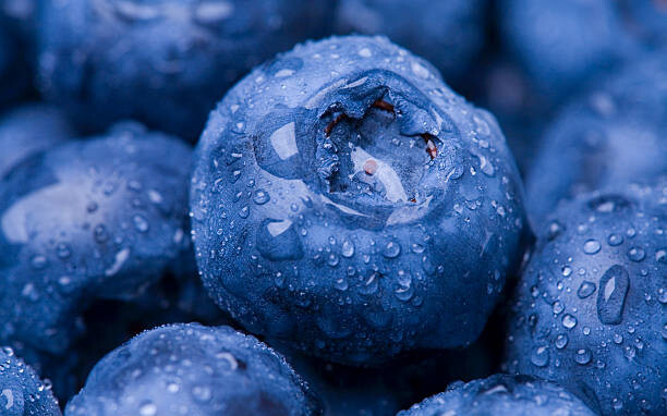 Art Photography Wet Blueberry Closeup