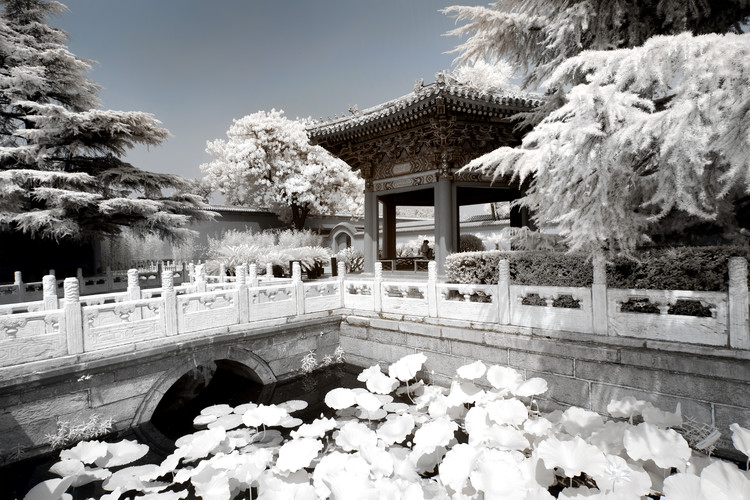 Taide valokuvaus White Lotus Temple