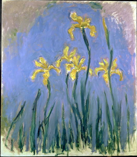 Canvas Print Yellow Irises; Les Iris Jaunes, c.1918-1925