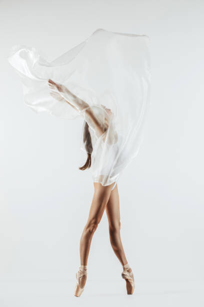 Art Photography Young ballet dancer is posing at the studio