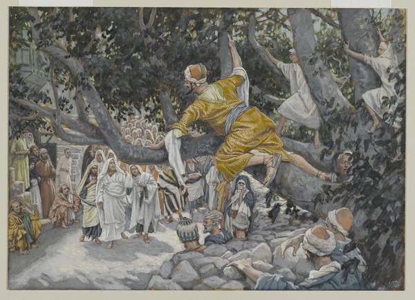 Fine Art Print Zaccheus in the Sycamore Awaiting the Passage of Jesus