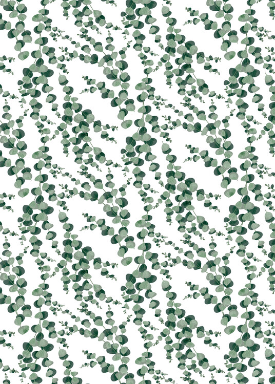 Ilustração Eucalyptus pattern